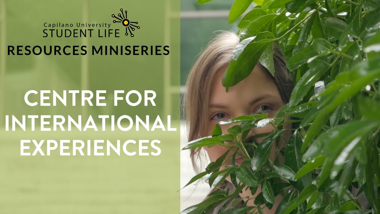 Centre for International Experience